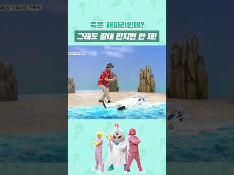 죽은 <strong>해파리</strong> 🪼 = 나 아직 독침 살아있다...😎💥 #<strong>해파리</strong> #shorts
