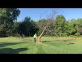 Quick tree removal and stump grinding