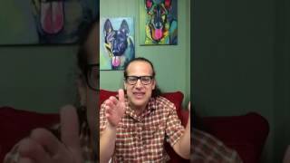 Motivation | Challenges passing on training to the owner | Solid K9 Training Dog Training