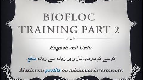 BioFloc Training Part 2 [Tutorial]  II  "Advantages & Disadvantages of BioFloc System"