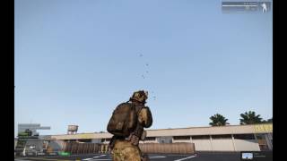 Arma 3 - Tanoa bug