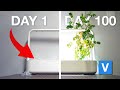 Day 1 to 100  click and grow smart garden long term review