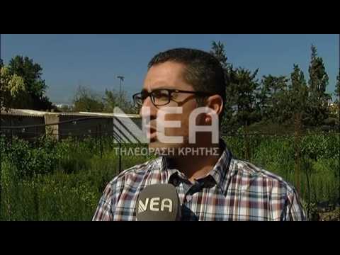 ΚΑΛΛΩΠΙΣΤΙΚΑ & ΔΑΣΙΚΑ ΦΥΤΑ ΜΟΙΡΑΣΕ ΤΟ ΦΥΤΩΡΙΟ ΗΡΑΚΛΕΙΟΥ