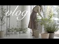 ENG / flower shop vlog | #8 봄맞이 식물 식재하기, Planting plants