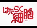 工作細胞 第3話 流行性感冒