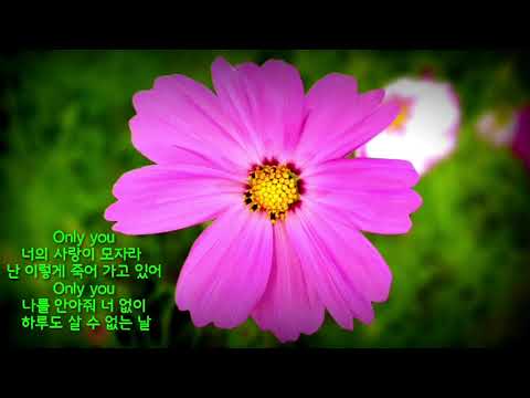 바비킴 Only You 가사첨부