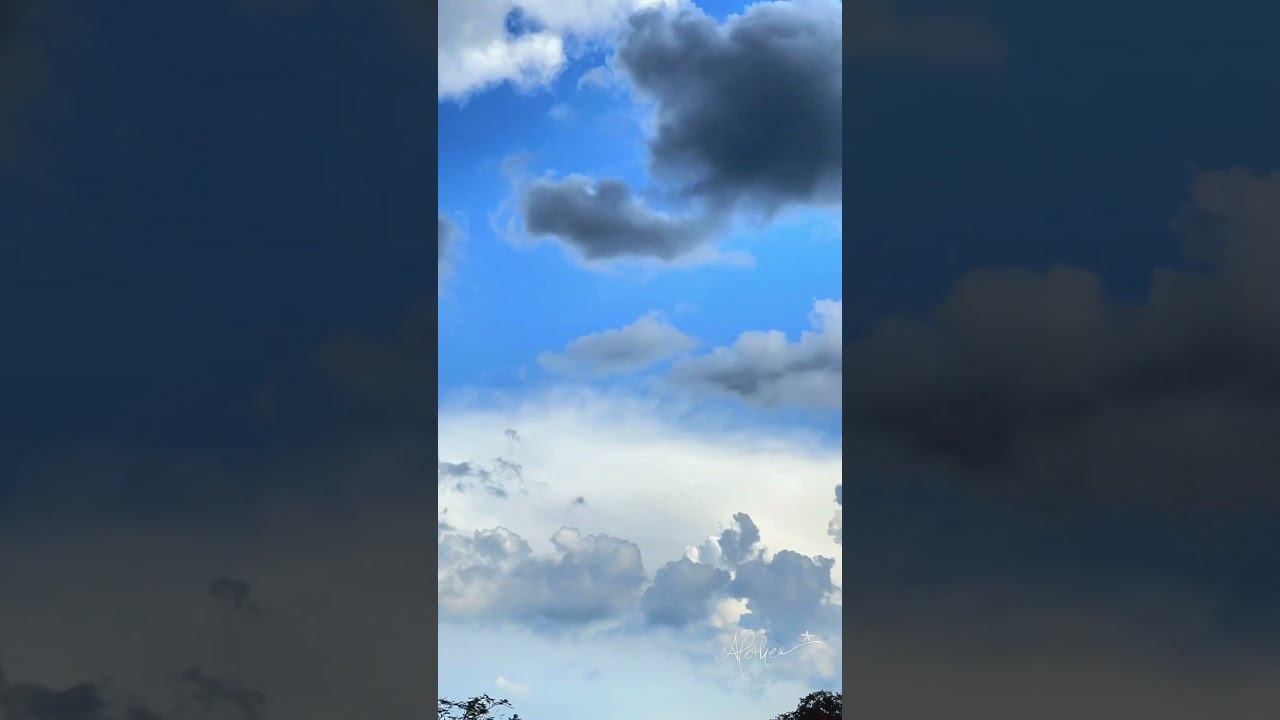 These dreamy wisps on the edge of the storm make me miss those skies out west… ✨⚡️✨