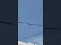 Plane