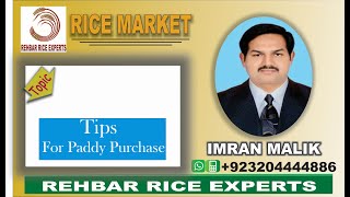 Rice Paddy || Paddy Purchase || Quality Paddy || Good Quality Paddy || Tips On Paddy Purchase