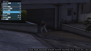 Grand Theft Auto V - Funny WTH 7