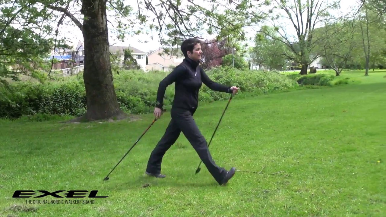 exel nordic walking sticks