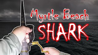 SHARKS at Myrtle Beach...Catching Sharks from the Beach | Surf Fishing Cut Bait|