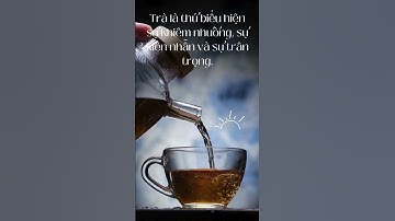 Trà Thái nguyên món quà của thiên nhiên | Trà ngon Hải Phòng