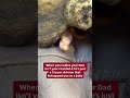 This realization scarred my Ball Python for Life😂🐍