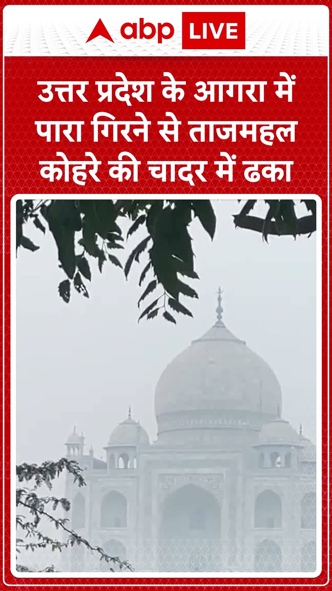 Agra Winter: आगरा में पारा गिरने से ताजमहल कोहरे की चादर में ढका | ABP LIVE | SHORTS