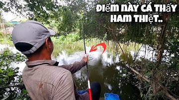 Tập 123 - Câu Cá Bằng Cách Này Cá Ăn Mồi Giật Muốn Không Kịp Luôn | Câu Cá Mè Vinh