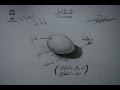 اساسيات الرسم تعلم تظليل الرسم بالرصاص للمبتدئين