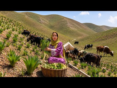 Harvesting Wild Vegetables from the Mountains of Afghanistan |Cooking Village Style Food
