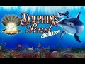 Dolphins pearl deluxe big win uk england casino