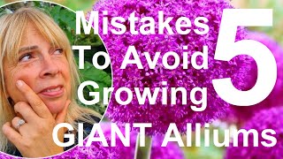 Five Mistakes to Avoid Growing and Planting Giant Ornamental Onions 'Allium giganteum'