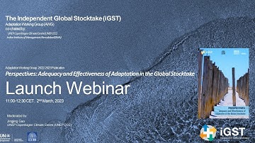 Advancing Understanding of Adequacy and Effectiveness of Adaptation in the Context of GST