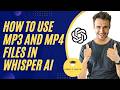 How To Use MP3 And MP4 Files In Whisper AI 2026 Free Plan 