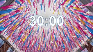 30 Minute Timer ⏰ | Colourful Ribbon Timer | Silent Countdown | No Alarm
