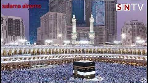 سعد الغامدى _ سورة النمل