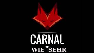 CARNAL - WIE SEHR