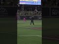All Umpires Should Do This! #shorts#bananaball#baseball#umpire#soy