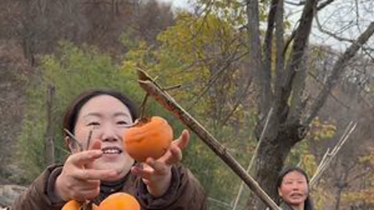 今天摘柿子的感觉，仿佛回到小时候。乡村生活特别治愈，这就是简单的快乐#我的乡村生活 #土特产出山#三农 #三农 #神农架