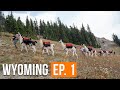 Backcountry Mule Deer Hunt | Wyoming (EP. 1)
