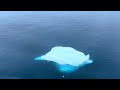Blue icebergs float past the Sapphire Princess south of Brabant Island on a very foggy day!