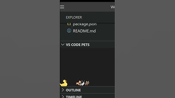 pet extension | vscode