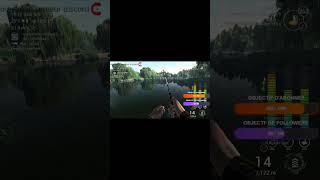 Unique Mirror Carp #47