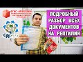 Документы на рептилий — Какая нужна справка на змею и ящерицу