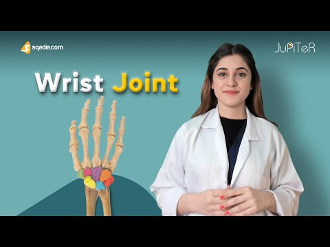 Video: Ce tip de articulație este articulația mediocarpiană?