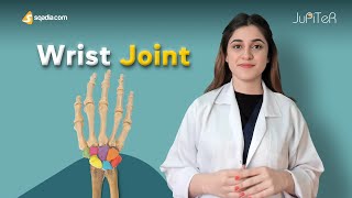 Wrist Joint | Bone, Ligaments and Muscles Anatomy Made Easy for Medical Students