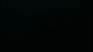 All Nokia 3315 ringtones