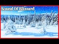 Wind Sound Sleep, Nature Sound For Sleep, Wind Storm Sound, Sound Of Blizzard, Winter Wind Sounds