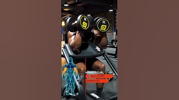 PREACHER HAMMER CURL (How To)