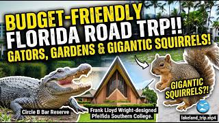 🌴 Ultimate Budget Friendly Lakeland Road Trip Guide! 🚗💨