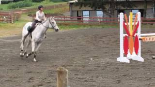 Group Jumping Lesson II Bigs, Chow, and Nova