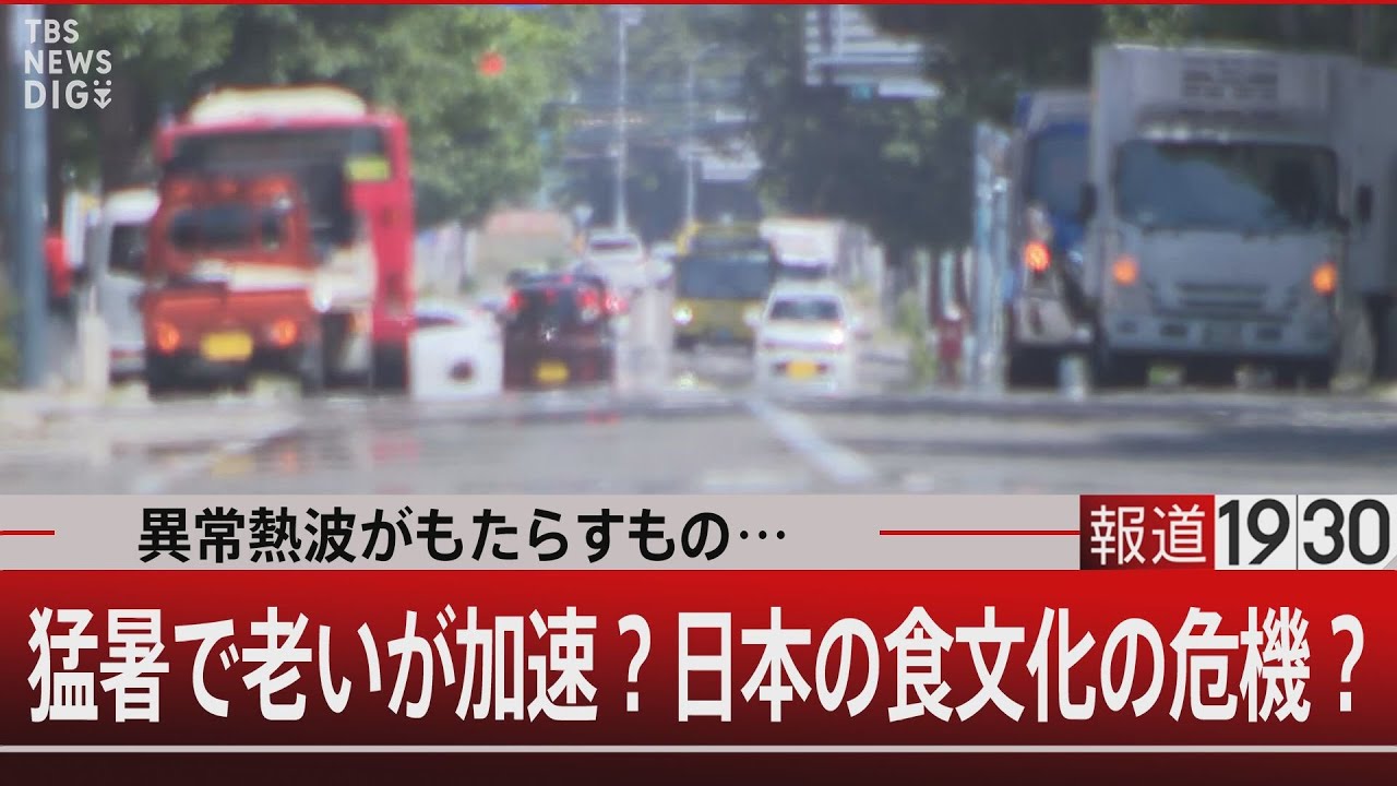 異常熱波がもたらすもの…猛暑で老いが加速？日本の食文化の危機？【8月20日(水) #報道1930】｜TBS NEWS DIG