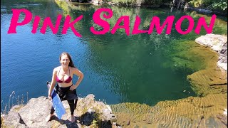 Swimming with Pink Salmon in Campbell River, BC