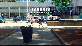 Downtown Toronto Walk | Rush Hour Walk From City Hall To Wellington