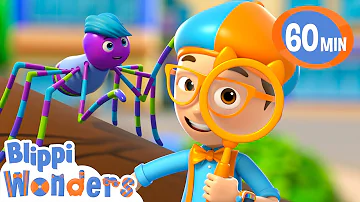 Blippi Wonders How do spiders make their webs? | Blippi Wonders Educational Videos for Kids