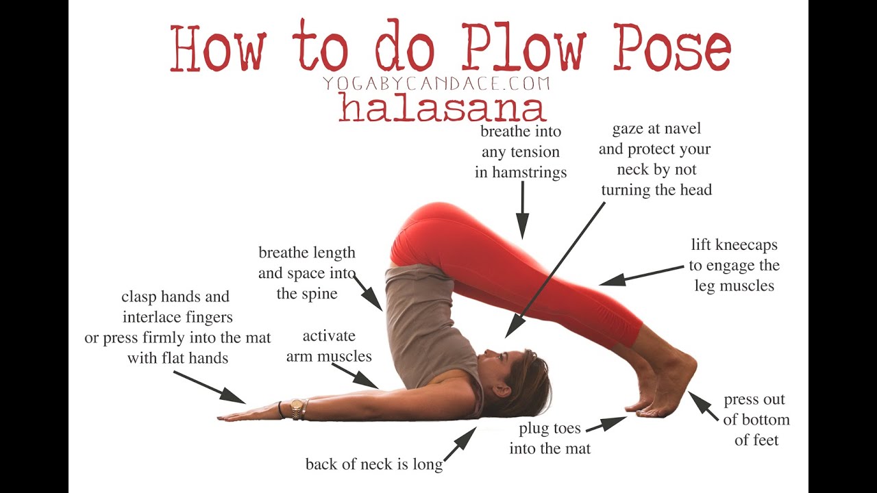 Plow Pose (Halasana): How to Perform, Benefits and Precautions - Fitsri Yoga