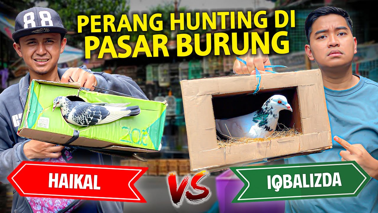 PERANG HUNTING HEWAN DI PASAR BURUNG! MANAKAH YANG BISA DAPET MERPATI TERBAIK AKU DAN HAIKAL?!