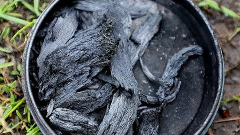 Punkwood 101: The Basics with Ignition